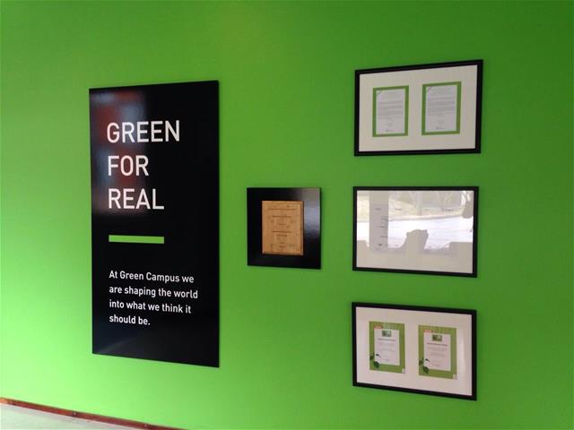 Green_for_real.jpg