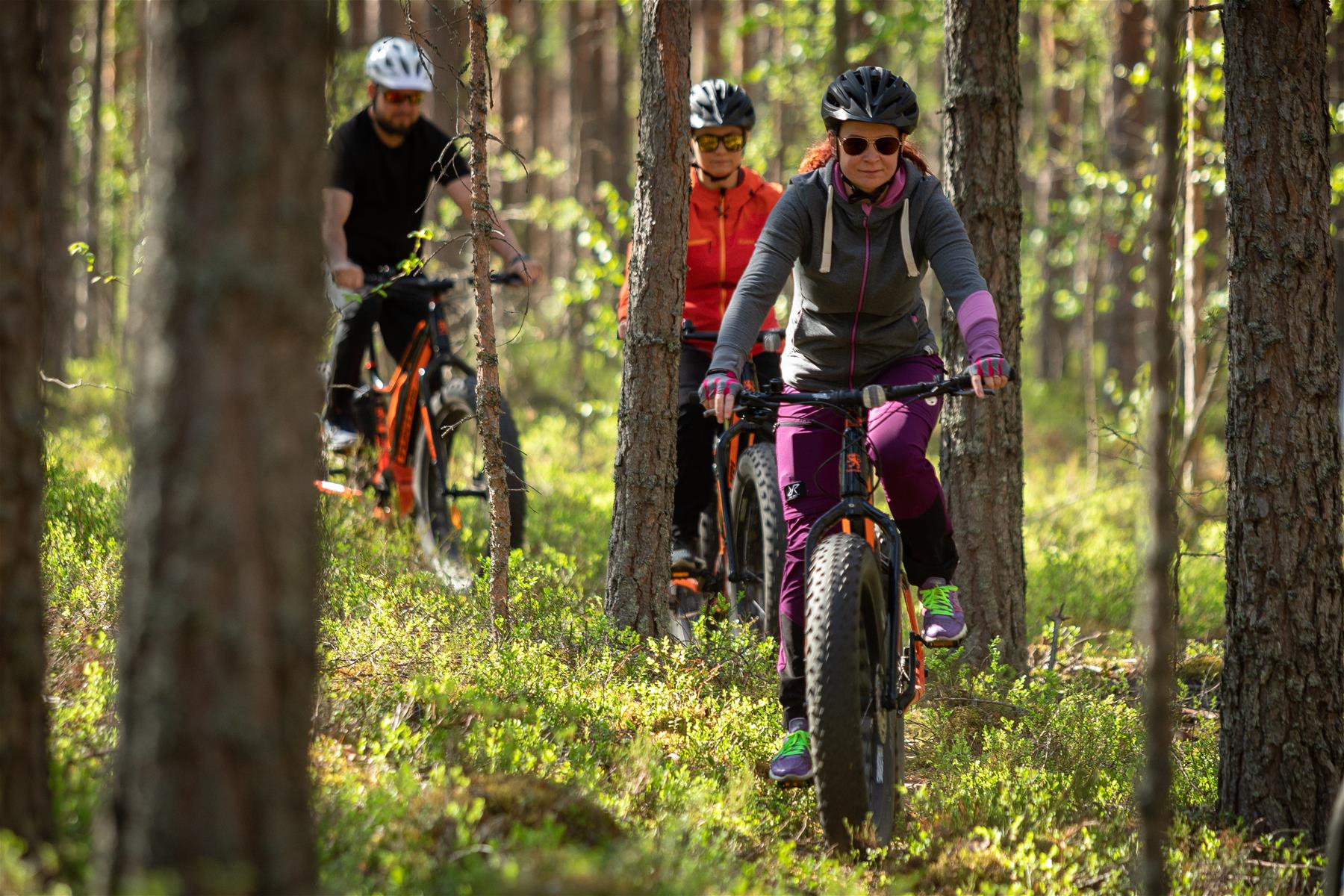 Pyöräily metsässä.jpg