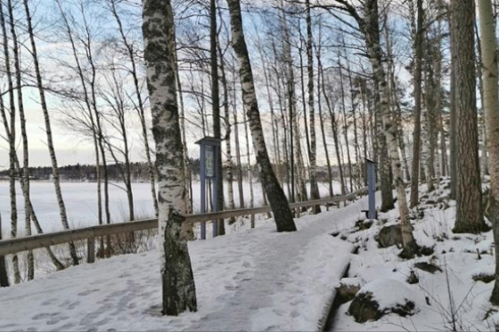 Rantaraitti talvi Natalja Zeleznjakova (2) (1).jpg